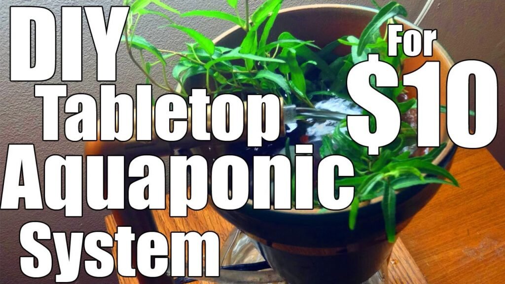 Exploring Aquaponics in Georgia: A Sustainable Farming Revolution